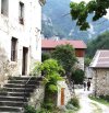 chemin de Borne