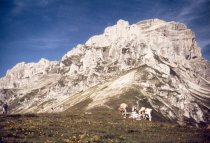 Le Grand Ferrand (Dvoluy - 2758 m)