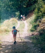 Vers le Gite d'alpage (Borne)